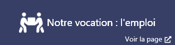 Patmouille entreprise d'insertion et association voir la page emploi notre vocation l'emploi